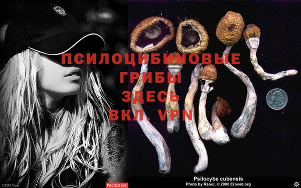 дживик Алексеевка