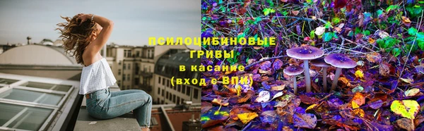 дживик Алексин